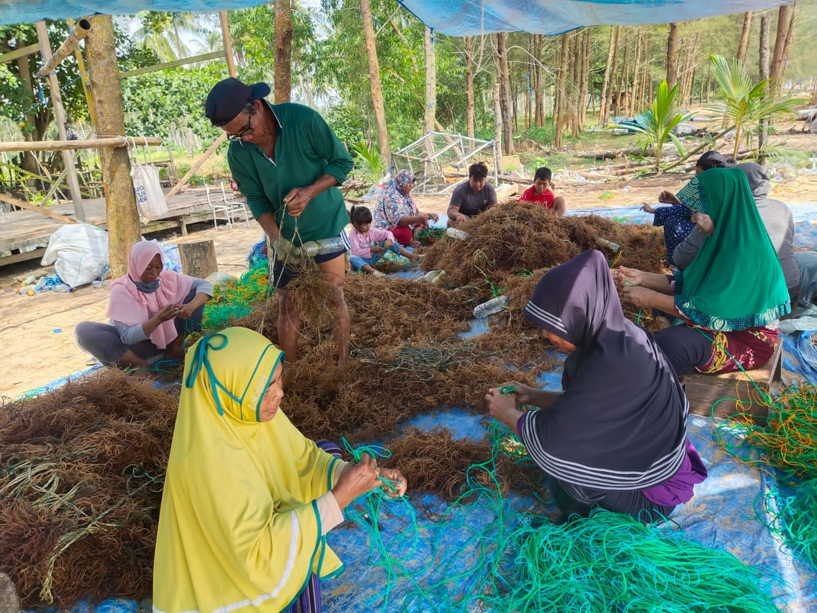 Produksi Rumput Laut Balikpapan Dinilai Menjanjikan