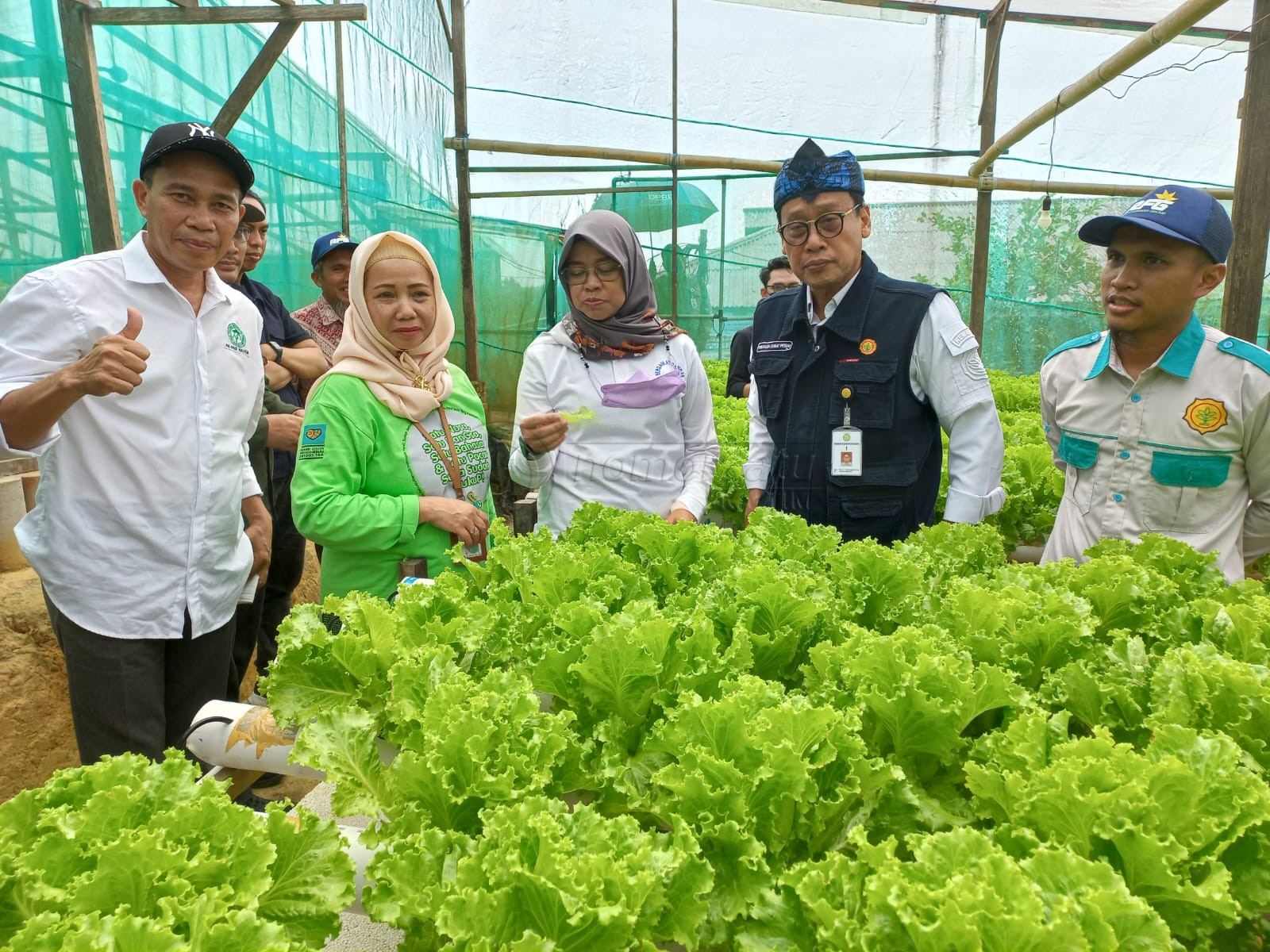 P4S Kaltim Ajak Petani Milenial Kembangkan Pertanian Modern