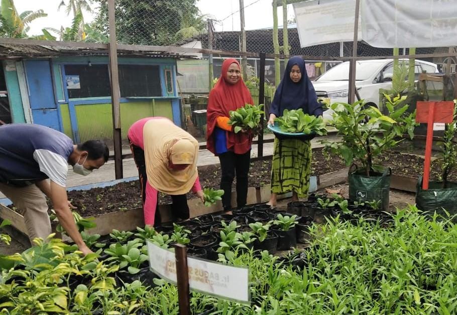 Kaum Milenial Dinilai Mampu Kembangkan Pertanian Kaltim