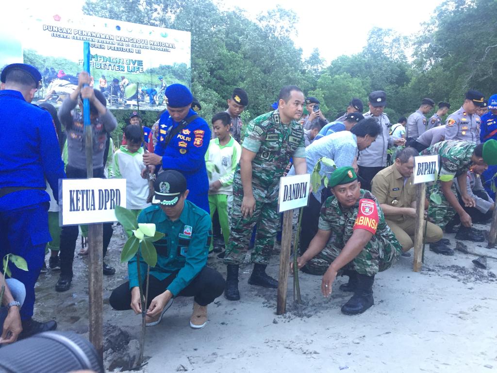 Jaga Pesisir dari Abrasi, DPRD Paser Desak Pemkab Alokasikan Anggaran Penanaman Mangrove