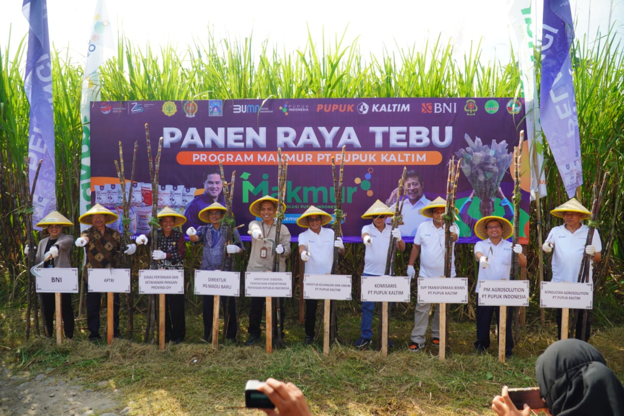 Pupuk Kaltim Panen Raya Tebu di Sleman