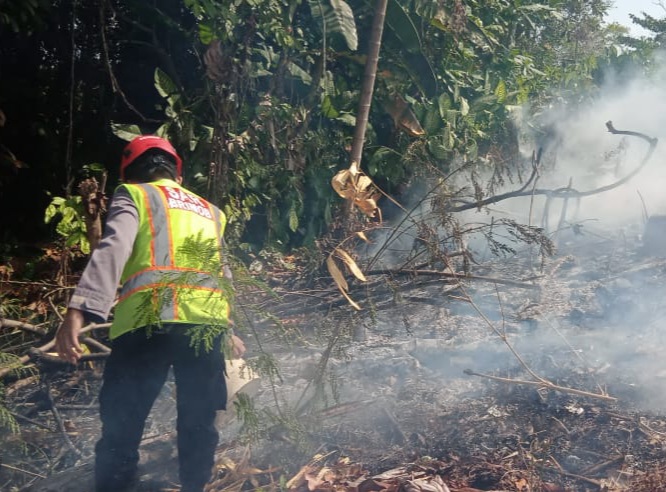 Dampak El Nino, Dua Bulan Terjadi 16 Kali Karhutla di Balikpapan