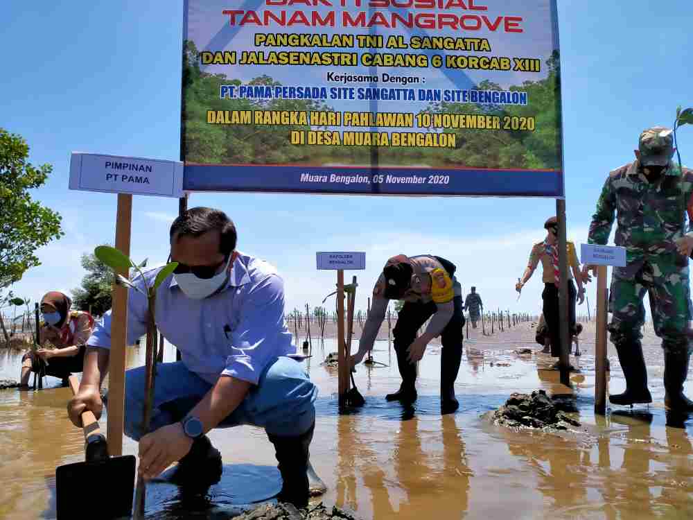 Peringati Hari Pahlawan dengan Tanam Mangrove