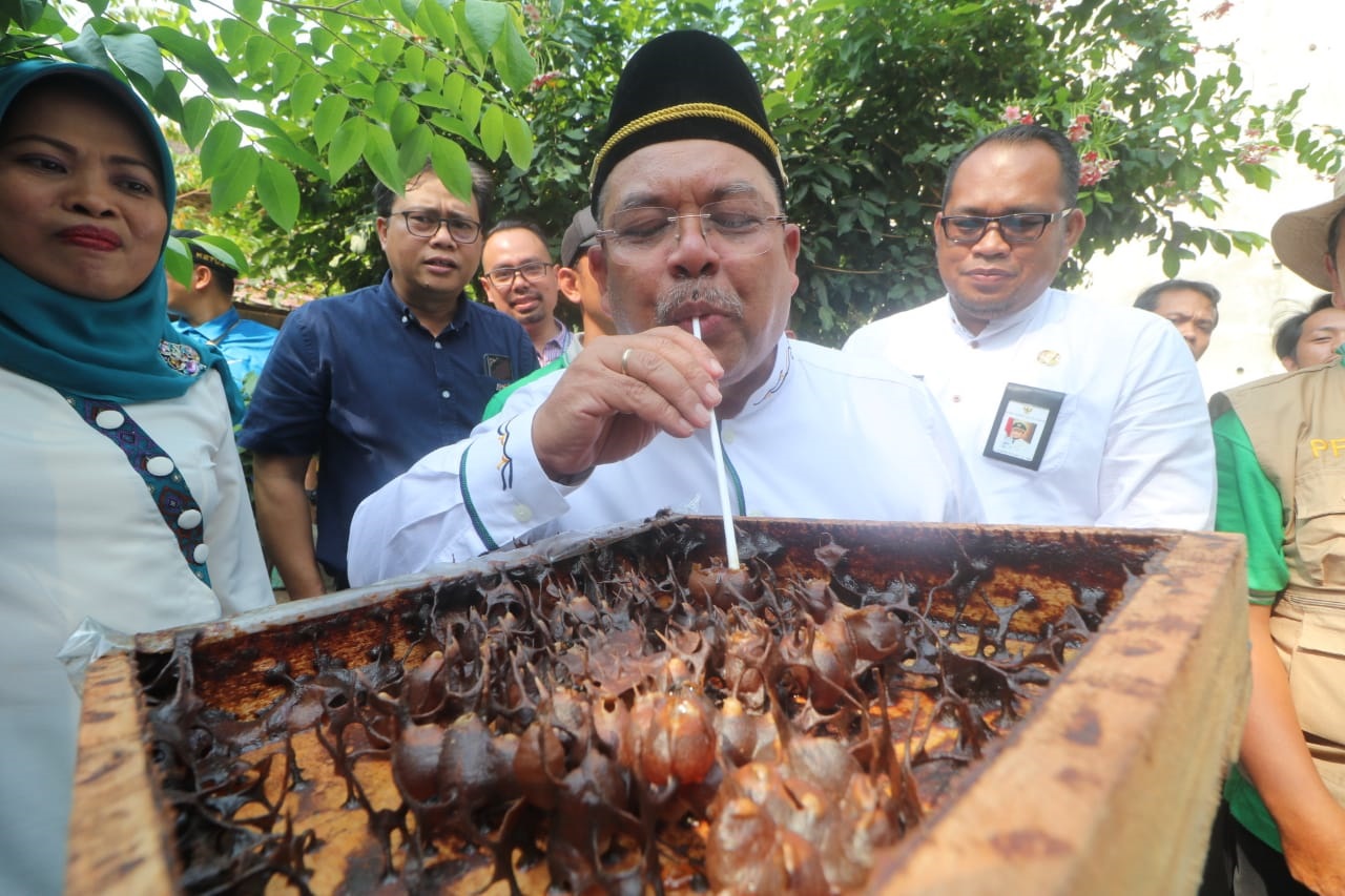 Budidaya Madu Kelulut, Potensi Usaha Baru Sangatta Selatan  