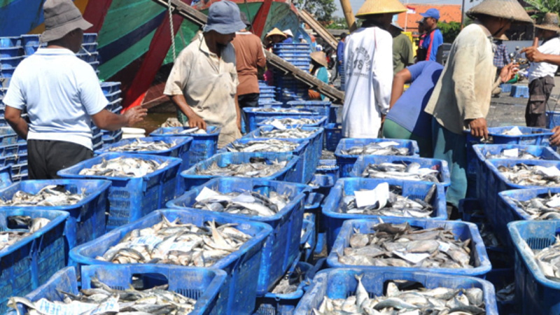 Fishlog Serap 15 Ribu Ton Ikan Indonesia