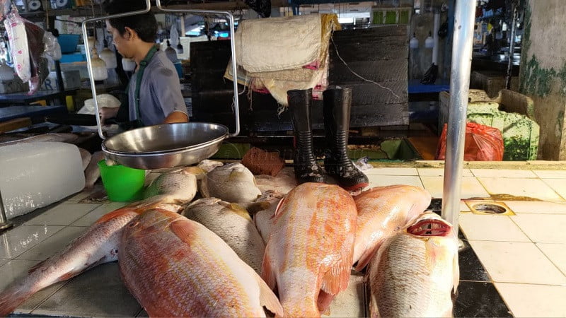 Harga Ikan Masih Tinggi, DP3 Balikpapan Sarankan Ini