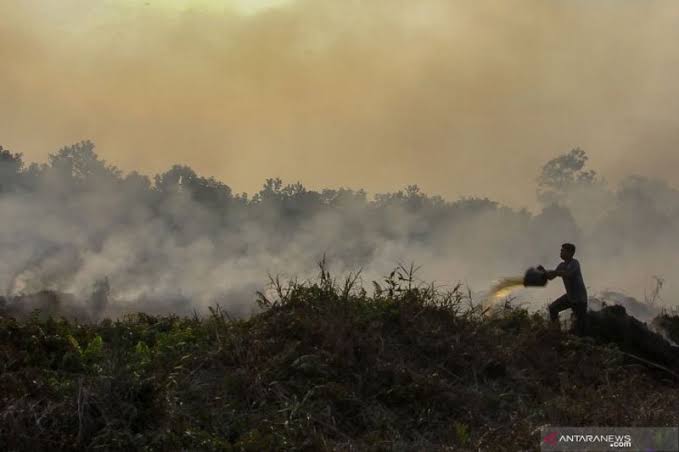 Masuki Musim Kemarau, BPBD Kukar Mulai Fokus Potensi Karhutla