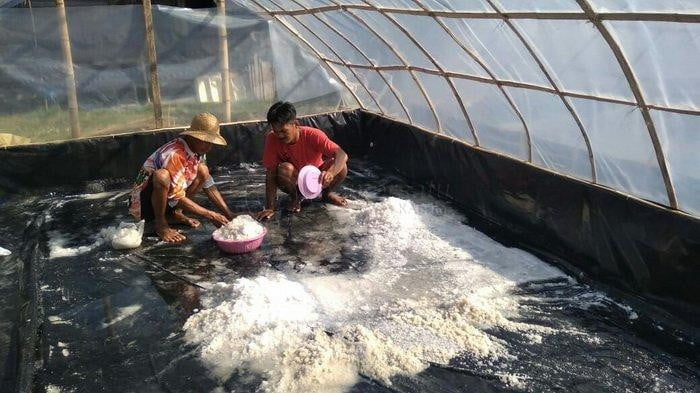 PPU Menuju Daerah Penghasil Garam