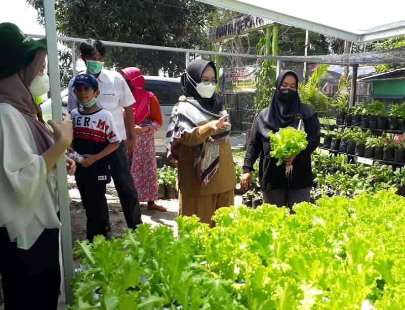 Skor PPH Balikpapan Turun Akibat Alih Fungsi Lahan Pertanian