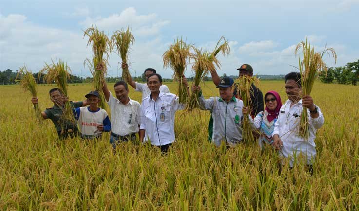 Dewan Dorong Pembentukan Kelompok Tani