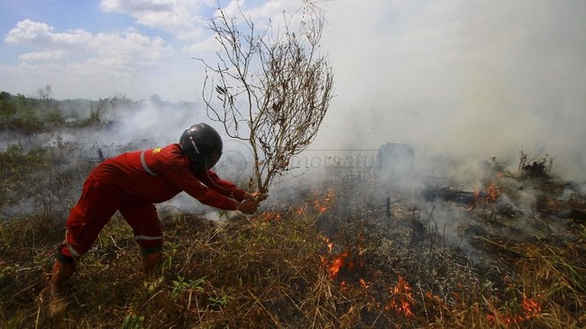 BMKG Deteksi 66 Titik Panas di Kaltim