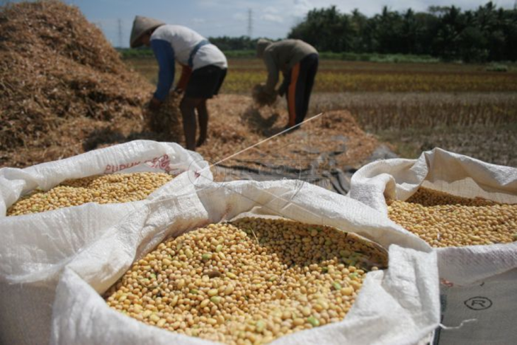 Kementan – Kemendag Komitmen Majukan Petani Kedelai