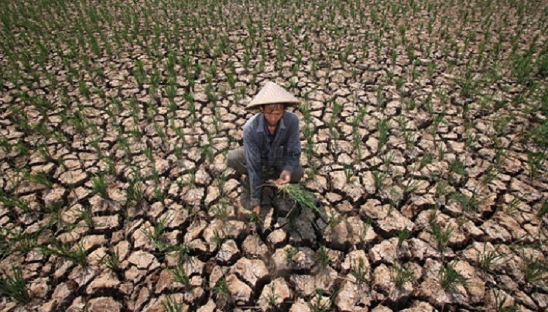 Hadapi El Nino, Pemimpin Daerah Perlu Perkuat KUR