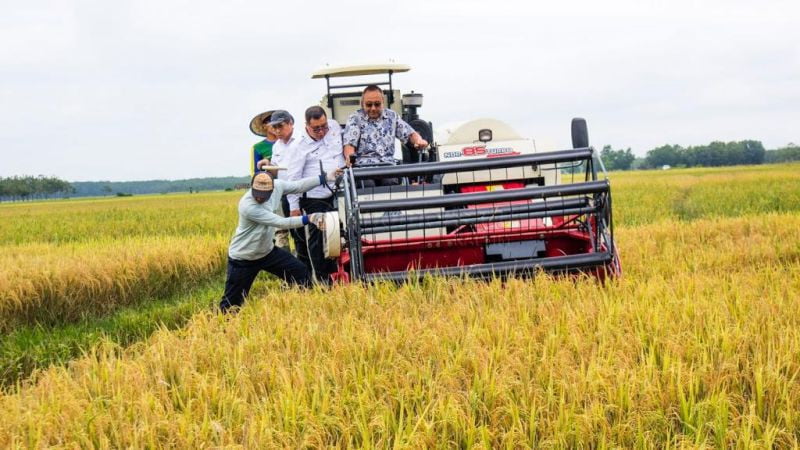 Gandeng Jepang, Kementan Canangkan Modernisasi Asuransi Pertanian