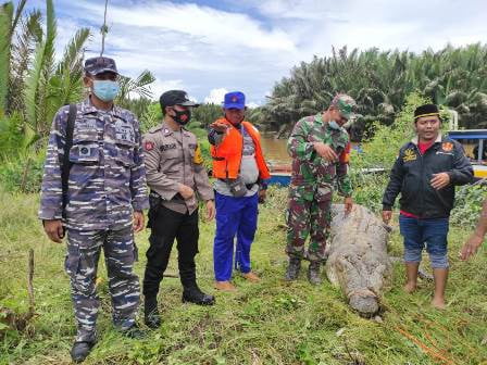 Capek Jadi Korban Buaya, Masyarakat Kutim Minta Dibuatkan Penangkaran