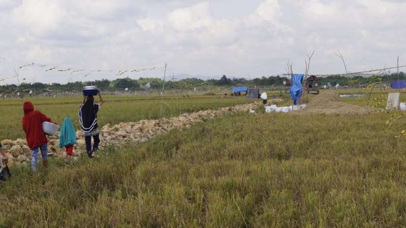 Kutim Masih Perlu 12.300 Ha Sawah Baru Agar Bisa Surplus Beras