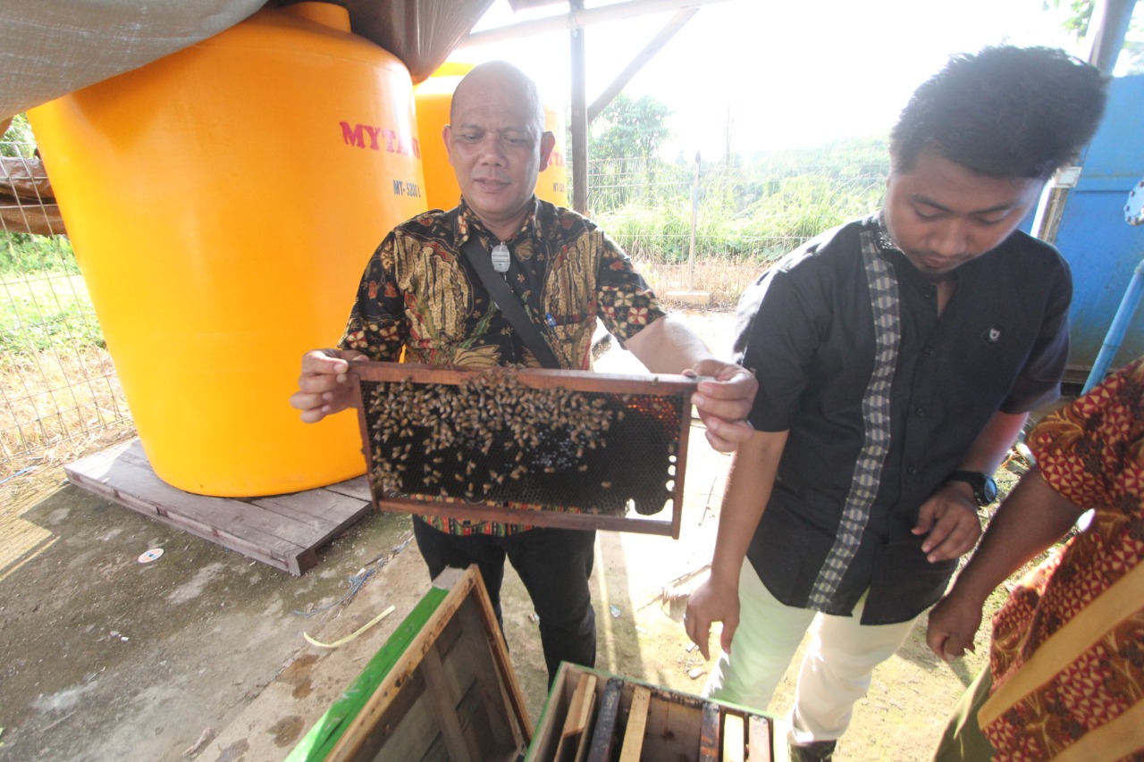 Denda Adat Bagi Perusak Pohon Madu