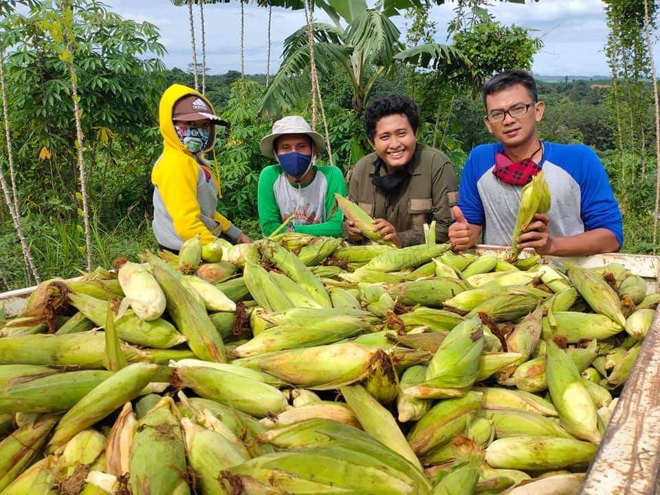 Serbuan Petani Milenial; Menjadi Tumpuan Baru Ekonomi Kaltim