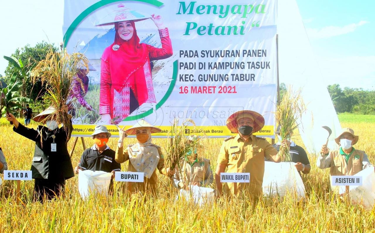 Produksi Meningkat 756 Ton