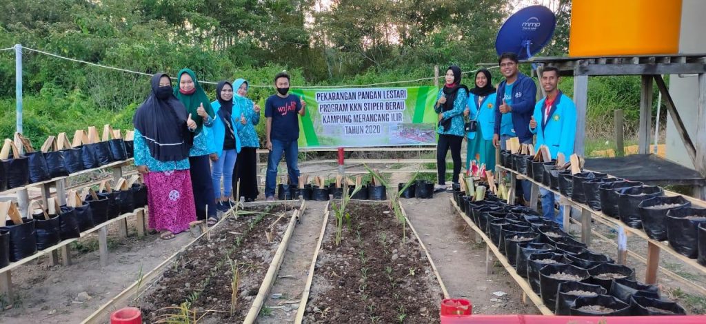 Pekarangan Pangan Lestari