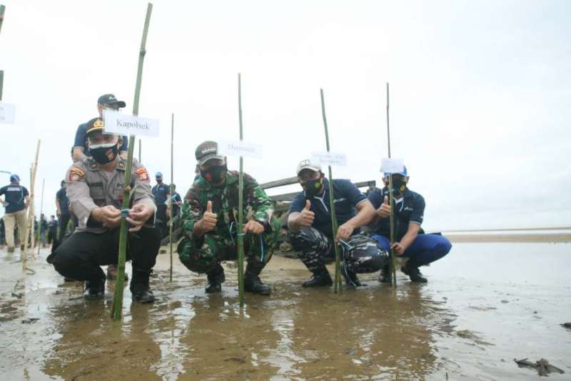 PHKT Programkan Penanaman 8.000 Bibit Mangrove di Pantai Biru Kersik