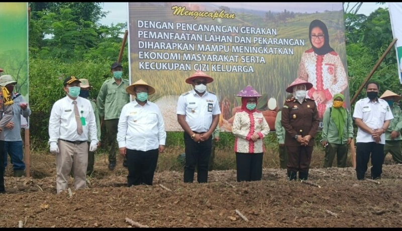 Antisipasi Kelangkaan Pangan Ditengah Pandemik COVID-19, Masyarakat Diminta Manfaatkan Pekarangan Rumah