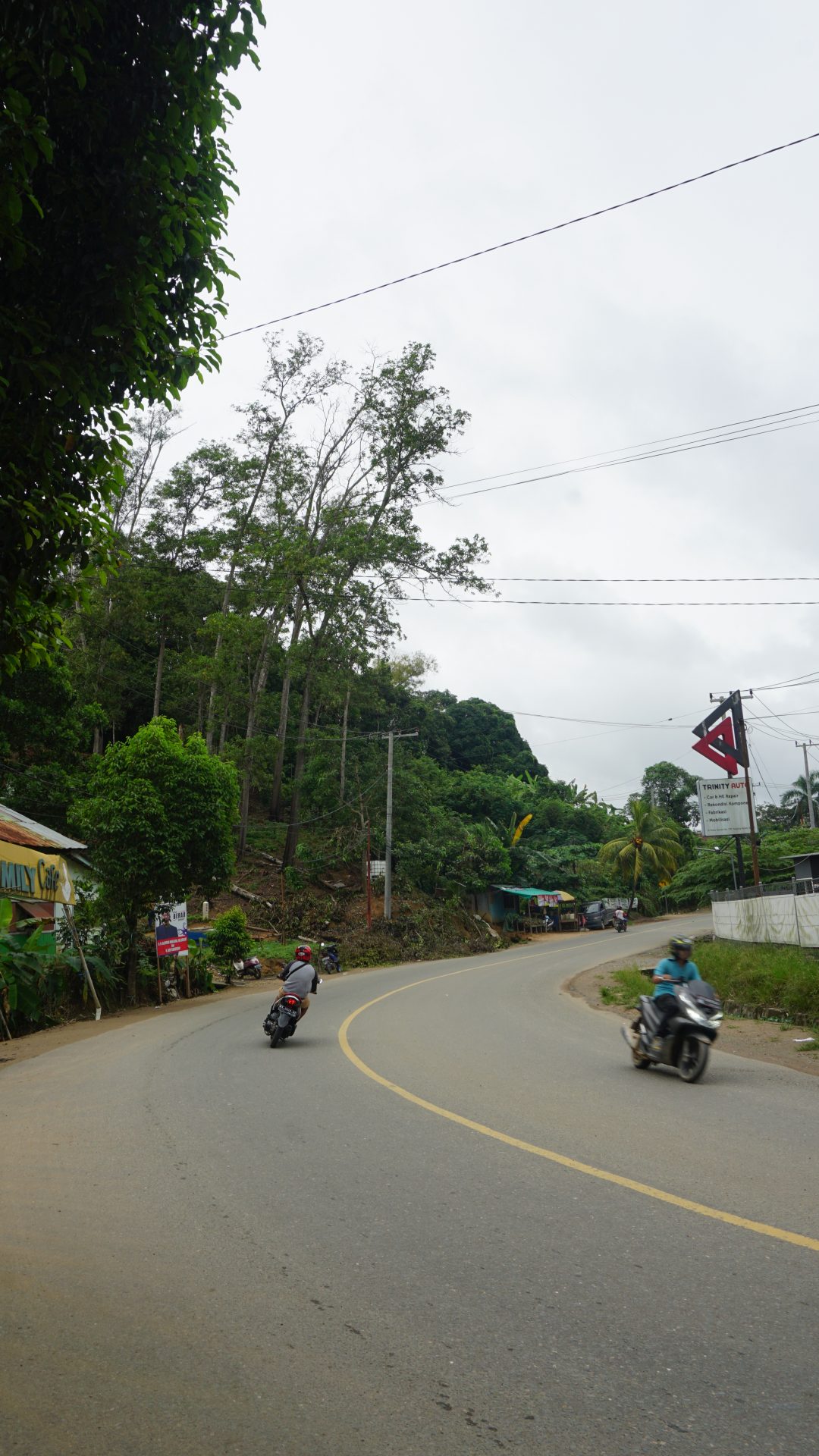 Rawan Timpa Jaringan Listrik