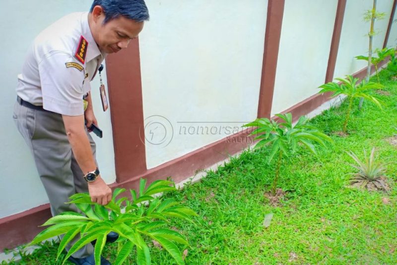 Ekspor Berharap Porang dan Sarang Burung Walet