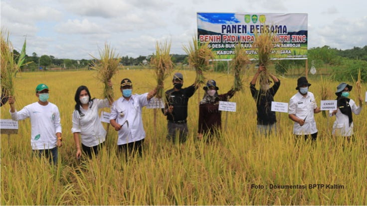 Kelompok Tani Kukar Butuh Bantuan Pemerintah