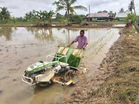 Sembilan Kelompok Tani di Paser Tagih Janji, Butuh Mesin untuk Tanam Padi