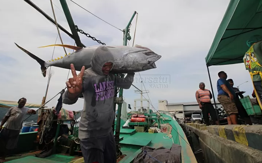 Pekerja Perikanan Rentan Terseret Perdagangan Orang