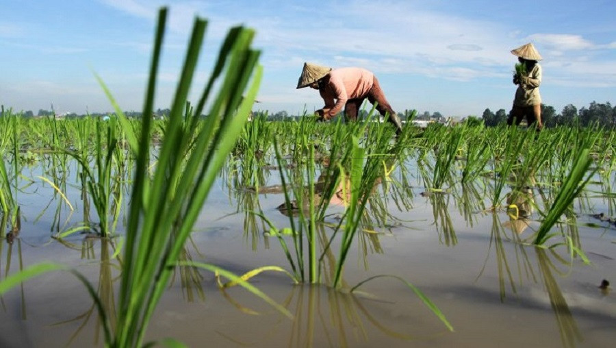 Parlemen Kaltim Dukung Gerakan Tanam 1.000 Hektare