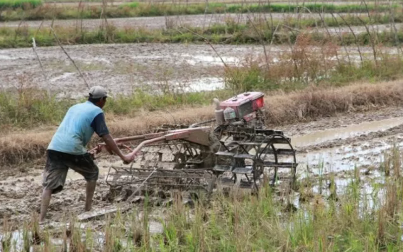 BPS: Mayoritas Petani Indonesia Skala Kecil