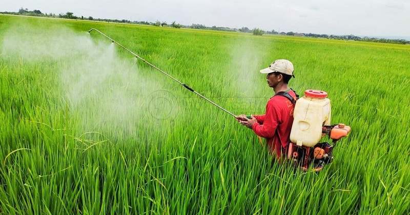 PAN Rangkul UMKM Pertanian dan Perikanan