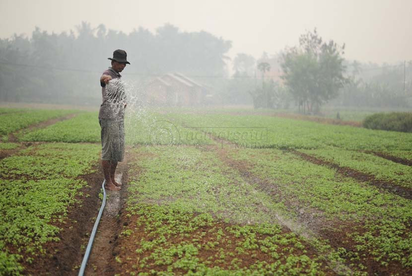 Sejuta Petani dan Penyuluh Dilatih Kembangkan Pertanian