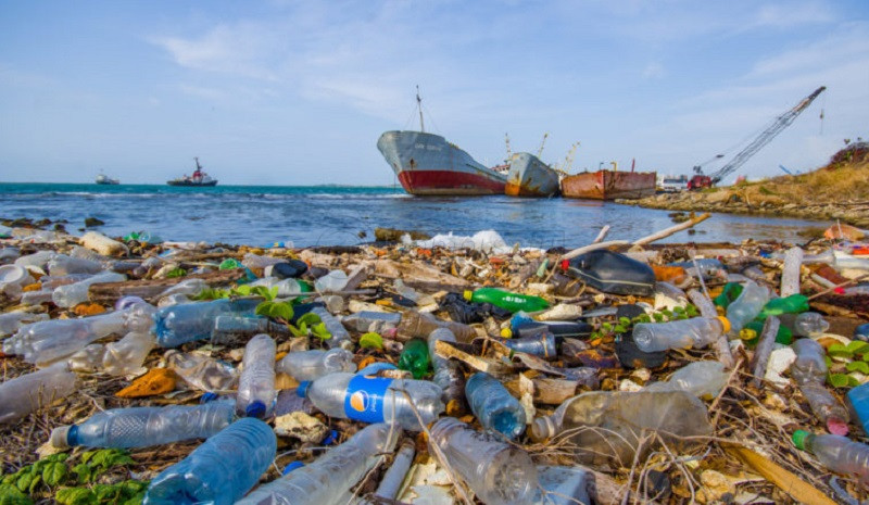 Produksi Perikanan Harus Steril dari Kandungan Mikroplastik