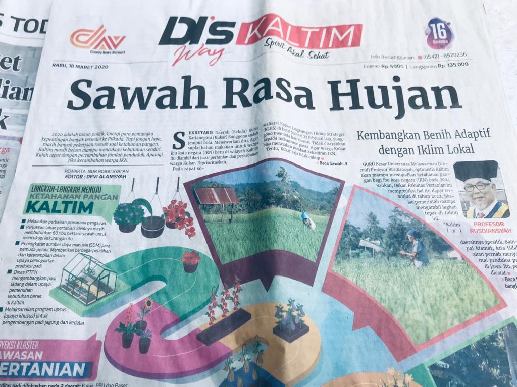 Ini Dia, di Kaltim Sawahnya Rasa Hujan