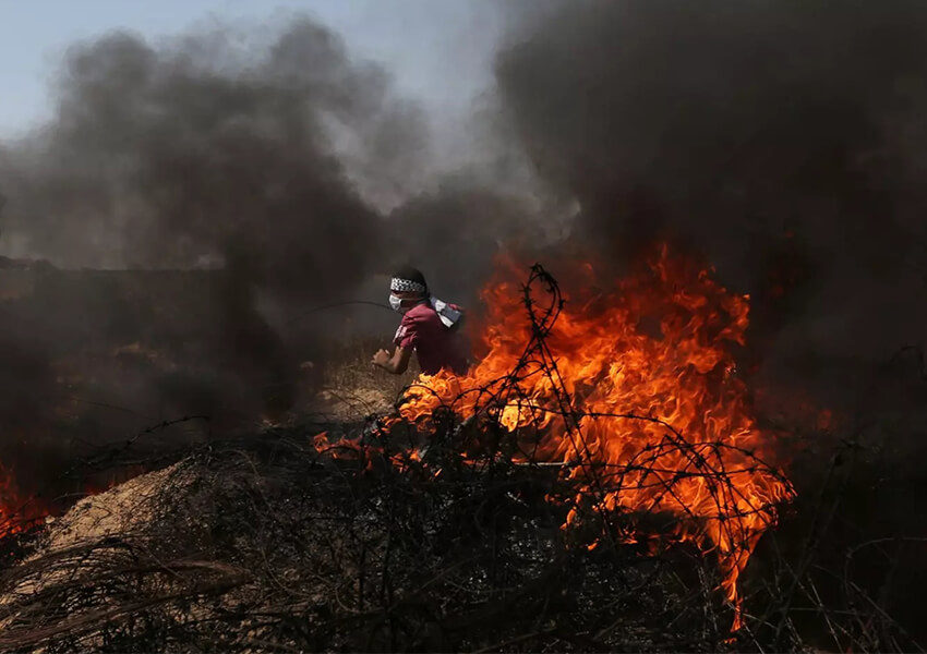 Israel Bakar Ladang-Ladang Warga Palestina