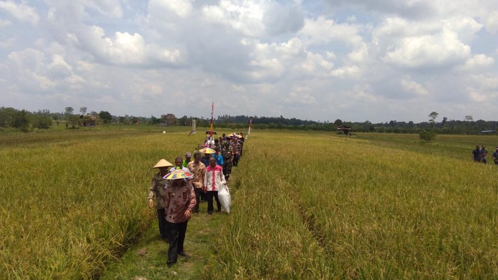 Pemkab Mahulu Buka Ladang Modern