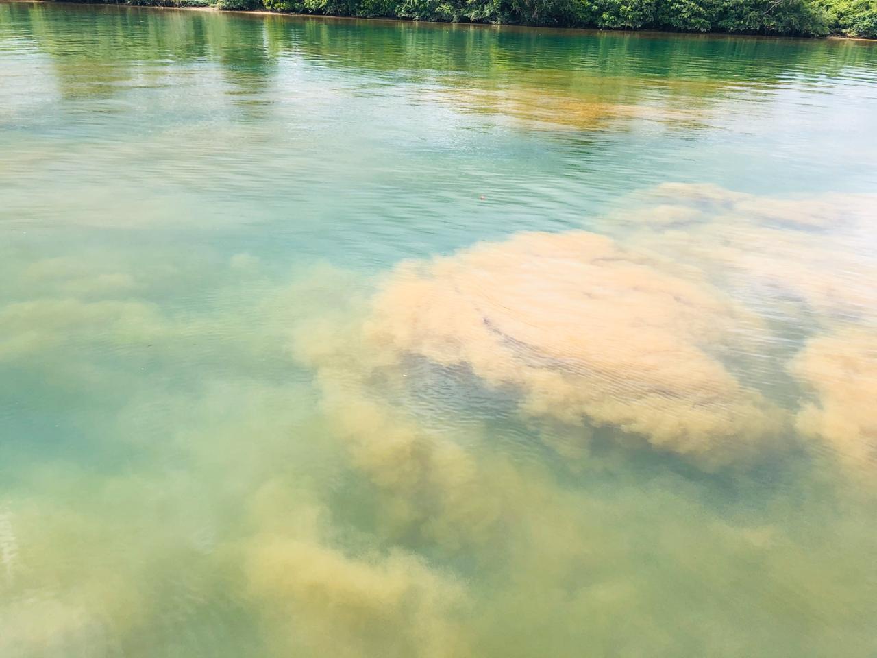 Kuncinya di Pemkab Berau