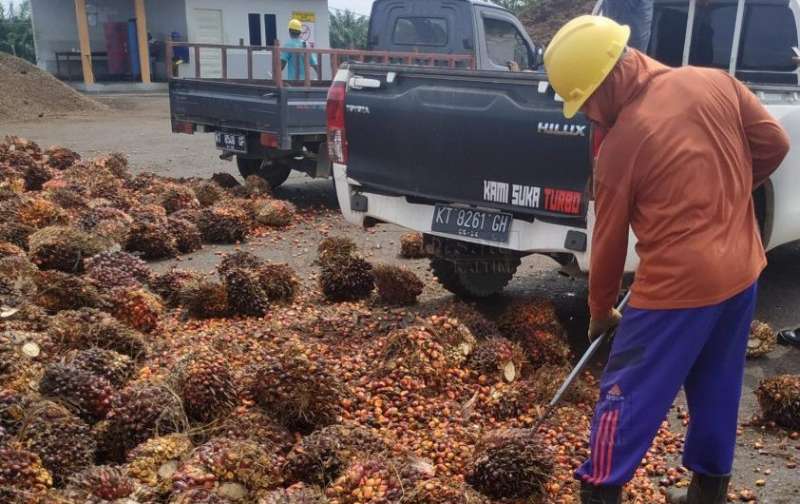 Sebagian Besar Status ketenagakerjaan