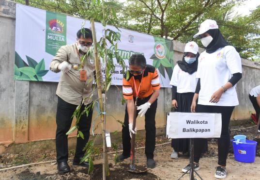 Peringati Hari Cinta Puspa dan Satwa Nasional, Universitas Mulia Tanam Pohon