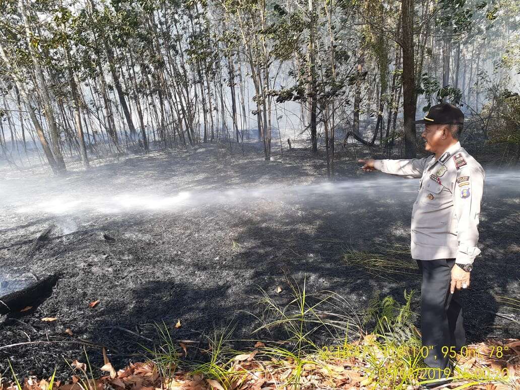 Diduga karena Puntung Rokok, Dua Hektare Lahan Terbakar