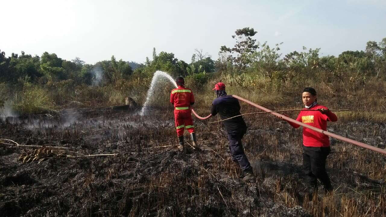 Karhutla Jadi Perhatian Pemkab Berau