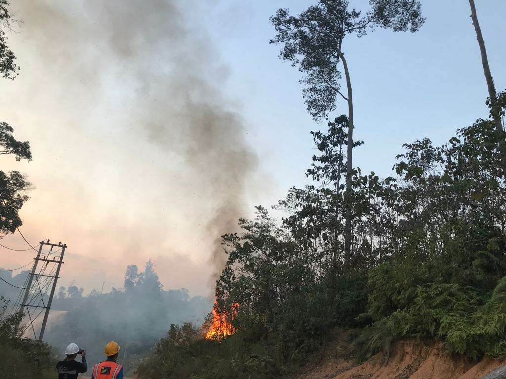 Polisi Buru Pelaku Pembakar Lahan