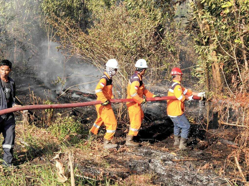 Ratusan Hektare Lahan PPU Terbakar, Sehari Temukan Enam Titik Api