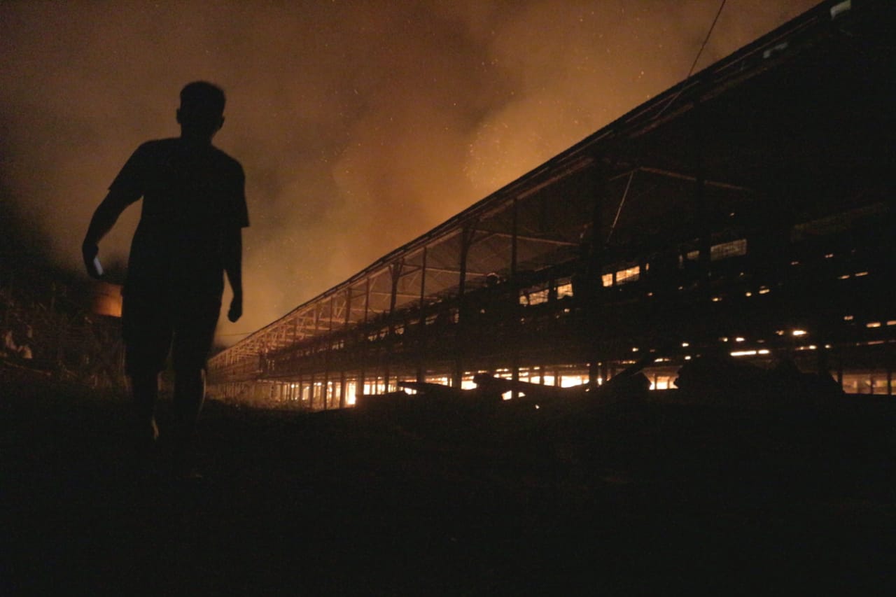 Kandang Slamet Terbakar, Ribuan Ayam Petelur Terpanggang