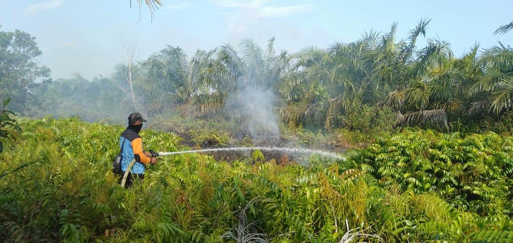 Lagi, Kelurahan Petung Langganan Karhutla