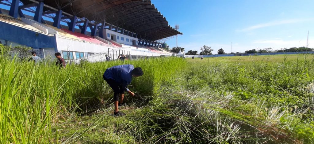 Anggaran Dipangkas 90 Persen Imbas Corona, Disperkimtan PPU Kesulitan Pemeliharaan RTH