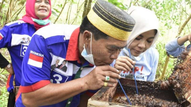 Zainal Ingin Madu Lebah Kelulut Jadi Produk Unggulan Kaltara